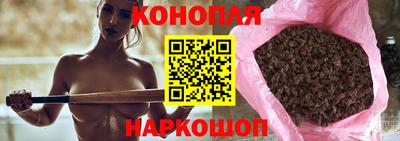 шишки Абакан
