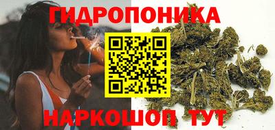 СК Абинск