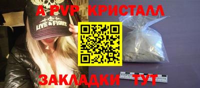 шишки Абакан