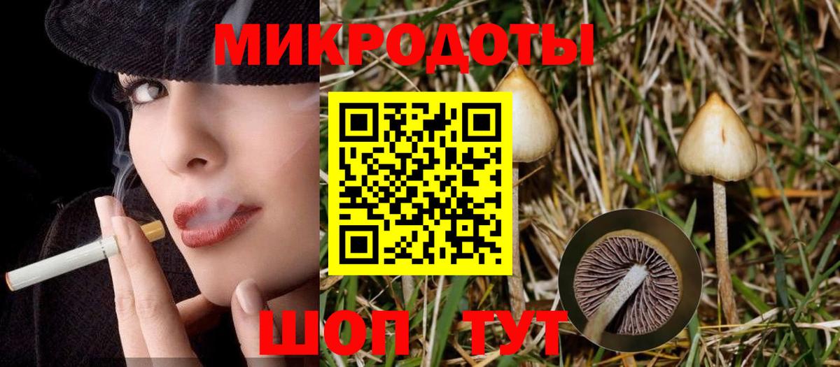 Псилоцибиновые грибы мицелий  Вход с VPN  Псилоцибиновые грибы ЛСД  Апатиты 